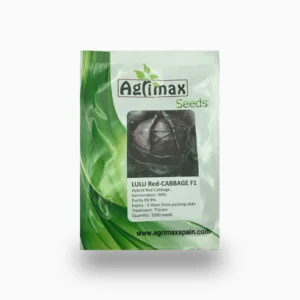 LULU Red-Cabbage F1 Premium Quality Seeds