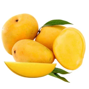Mango Alphonso King of Mangoes 2.0-2.5m