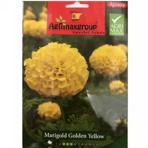 Marigold Golden Yellow Flower Seeds by Agrimax Spain Set of 5 Pack