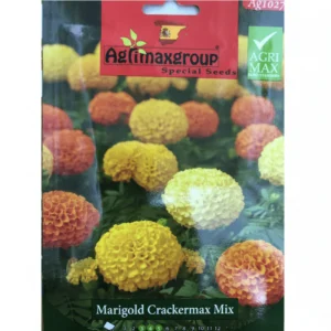 Merigold Crackermax Flower Seeds by Agrimax Spain Set of 10 pack