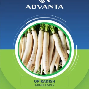 Mino Early OP Radish Seeds 5g