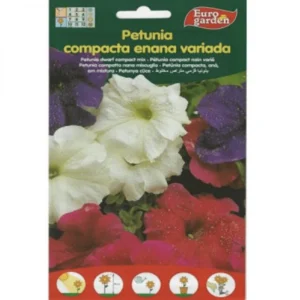 Petunia Dwarf Compact Mix Premium Quality Seeds by EuroGarden