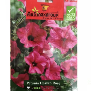 Petunia Heaven Rose Flower Seeds by Agrimax Spain Set of 2 Pack