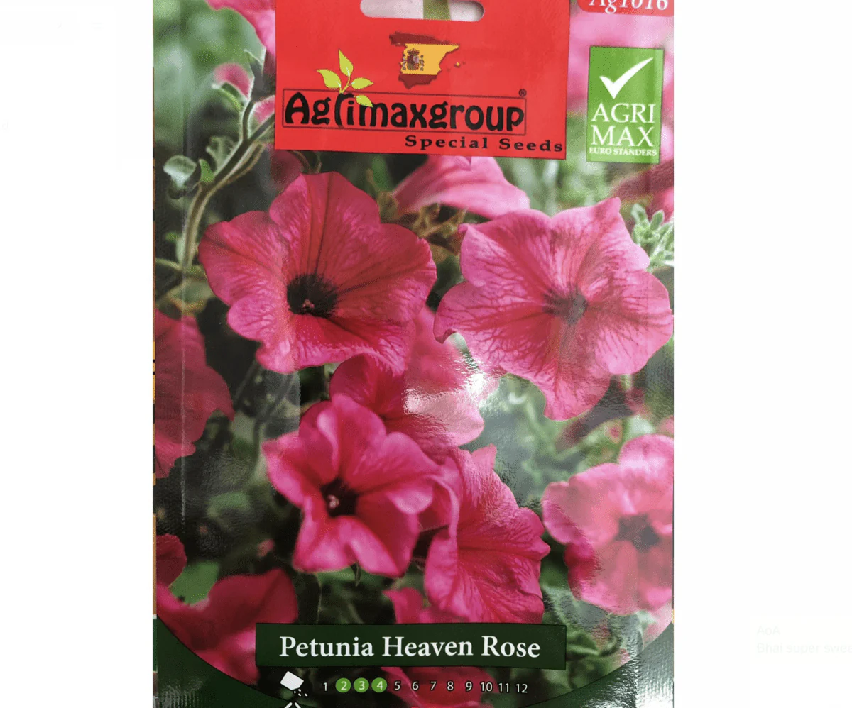 Petunia Heaven Rose Flower Seeds by Agrimax Spain Set of 10 Pack