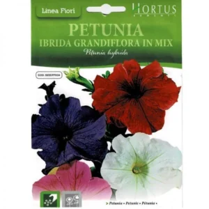 Petunia Mix "Petunia Ibrida Grandiflora In Mix" Premium Quality Seeds by Hortus
