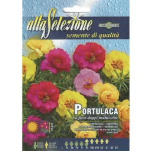 Portulaca "Portulaca a Fiori Doppi Multicolor" Seeds by Alta Selezione