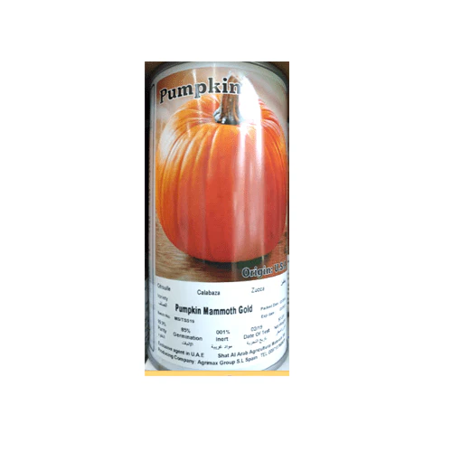 Pumpkin Mammoth Gold Seeds Tin