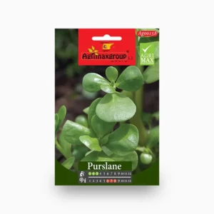 Purslane Agrimax Seeds Set of 5 Pack