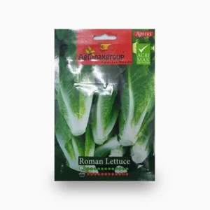 Roman Lettuce Agrimax Seeds Set of 10 Pack