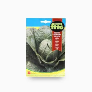 Romana Larga Verde 8g - Fito