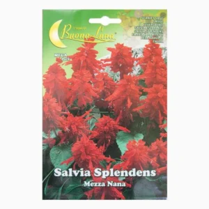 Salvia Splendida Mezza Nana Mix Flowers Seeds