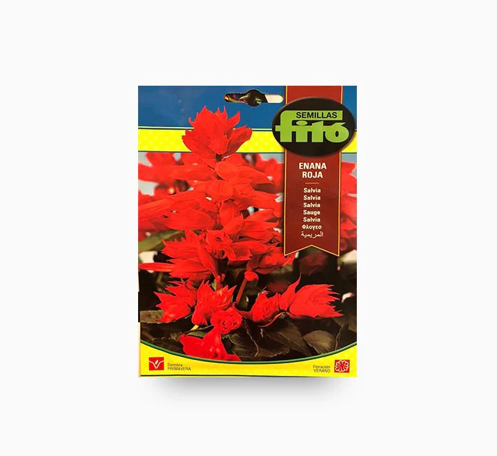 Semilla Frito Enana Roja Salvia Seeds (2 g)