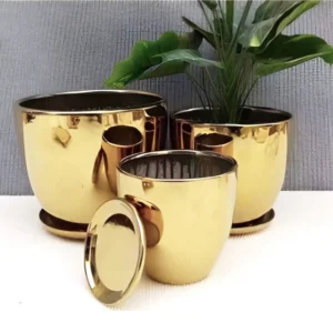 Shining Gold Vase Set (Ceramic Vase) with Saucer