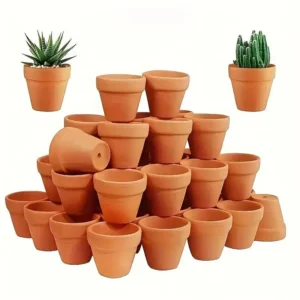 Small Mini Clay Pots With Drainage Holes Set of 25 Pots