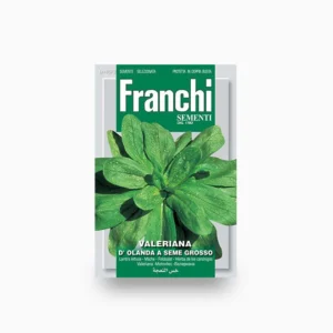 Spinach D'Olanda - Sementi Seeds