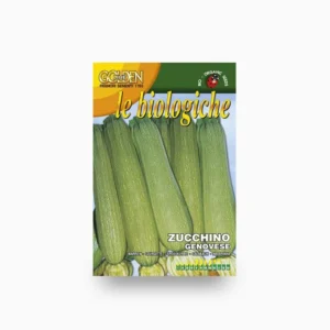 Squash Genovese - Franchi Seeds