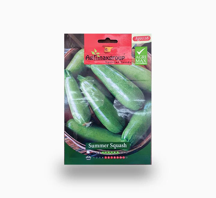 Summer Squash Agrimax seeds Set of 2 Pack