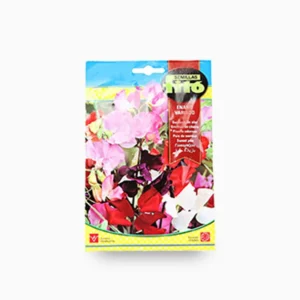 Sweet Pea Nain Mix 6g