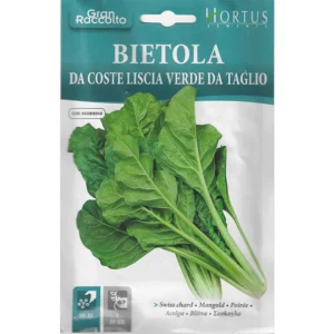 Swiss Chard "Bietola Da Coste Liscia Verde Da Taglio" Seeds by Hortus