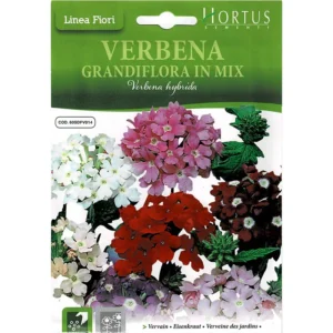 Vervain Mix "Verbena Grandiflora In Mix" Premium Quality Seeds by Hortus