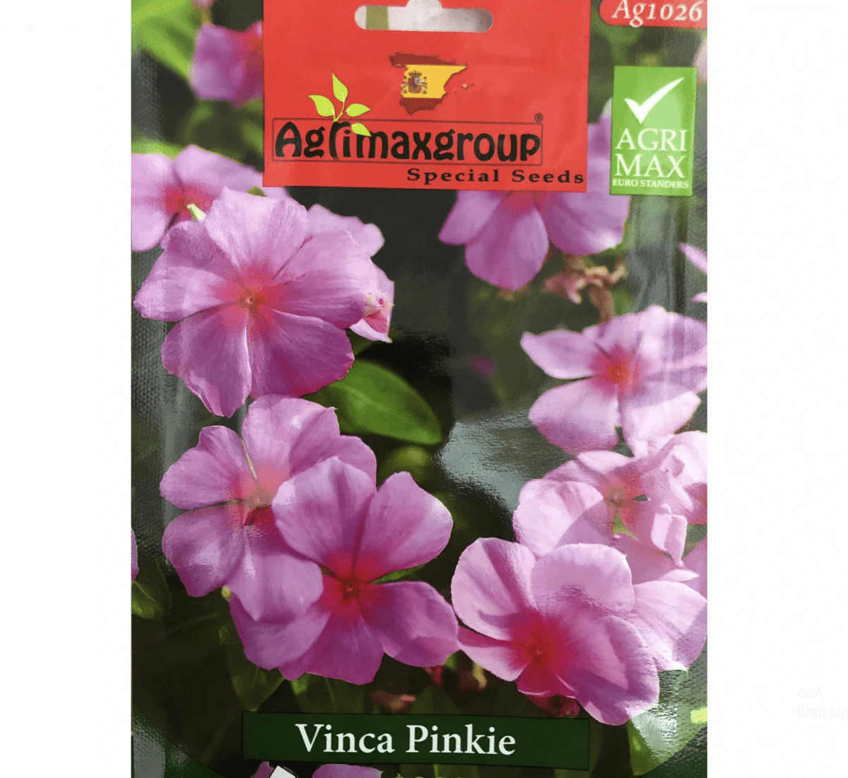 Vinca Pinkie Flower Seeds by Agrimax Spain Set of 5 Pack