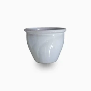 White Rolled Rim Pot 30x25cm DiaxHt