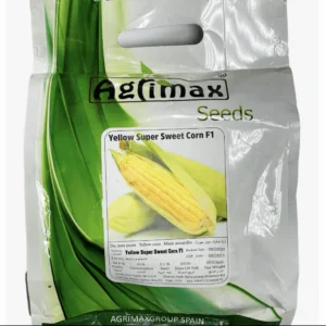 Yellow Super Sweet Corn Seeds "Hybrid F1" by Agrimax 10000 seeds