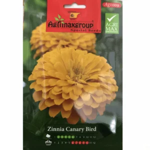 Zinnia Canary Bird Flower Seeds by Agrimax Spain Set of 10 Pack