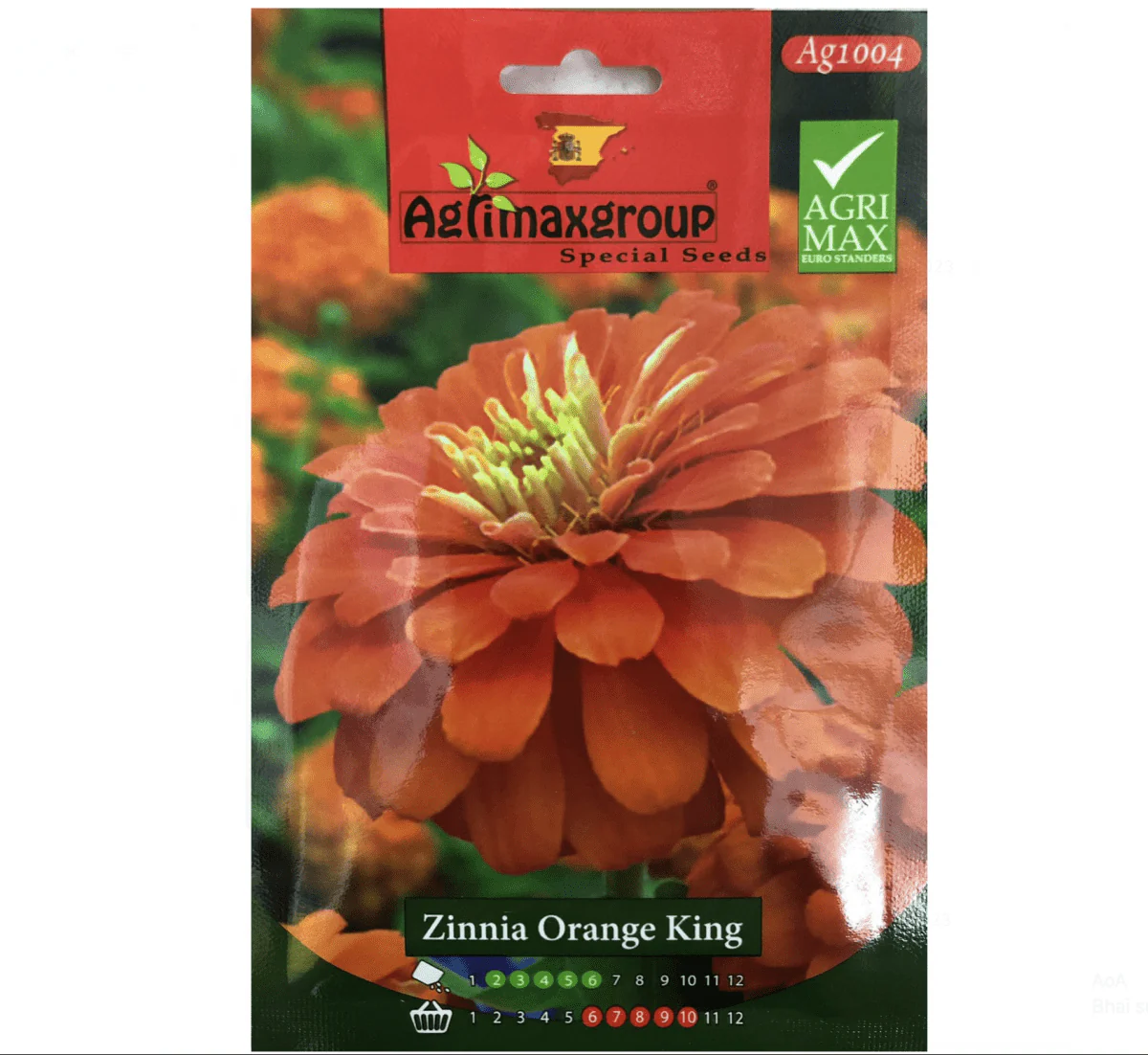 Zinnia Orange King Flower Seeds by Agrimax Spain Set Of 10 Pack