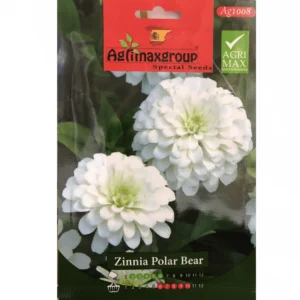 Zinnia Polar Bear Flower Seeds by Agrimax Spain Set Of 2 Pack