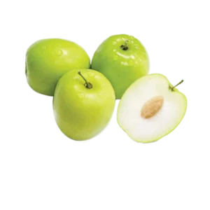 Ziziphus Jujuba Thai Or Jujube Tree 1.5-2.0m شجرة عناب