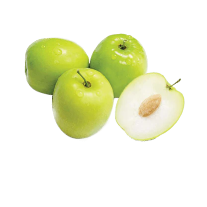 Ziziphus Jujuba Thai Or Jujube Tree 1.5-2.0m شجرة عناب