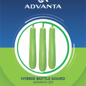 Advanta 205 Hybrid Bottle Gourd Seeds 5g