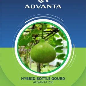Advanta 206 Hybrid Bottle Gourd Seeds 5g