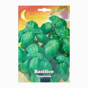 Basilico Genovese Seeds Mega Pack