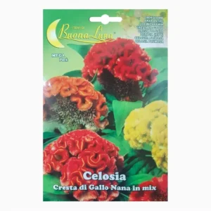 Celosia Cresta Gallo Nana Mix Mega Pack
