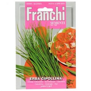 Erba Cipollina Seeds
