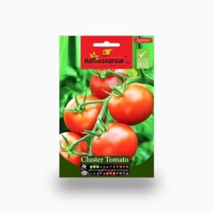Cluster Tomato Agrimax Seeds