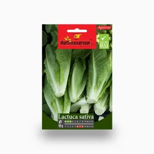 Lactuca Sativa Agrimax Seeds