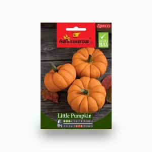 Little Pumpkin Agrimax Seeds