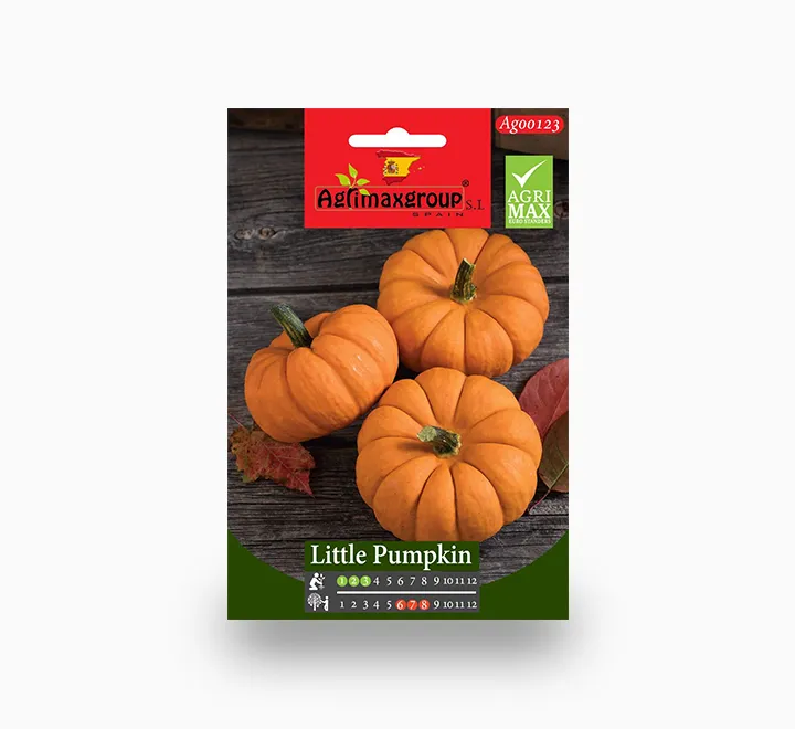 Little Pumpkin Agrimax Seeds