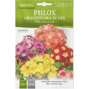 Phlox Mix “Phlox Grandiflora In Mix” Premium Quality Seeds by Hortus Sementi
