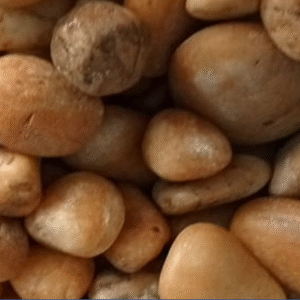 Beige pebble  2.4cm 20 kg bag