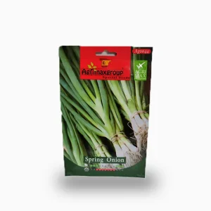 Spring Onion