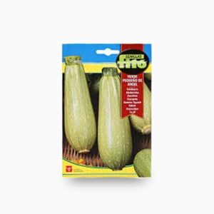 Squash Verde Pequeno De Argel