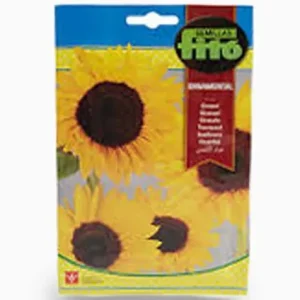 Sunflower Seeds 110mg – Fito