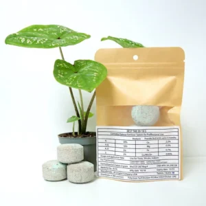 Best Tab “NPK Fertilizer Tablets” with Complete Essential Nutrients For Indoor and Outdoor Plants 2 Tabs pack