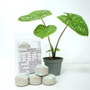 Best Tab “NPK Fertilizer Tablets” with Complete Essential Nutrients For Indoor and Outdoor Plants 4 Tabs pack