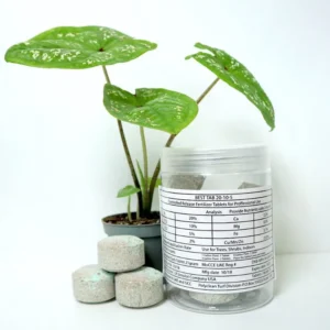 Best Tab “NPK Fertilizer Tablets” with Complete Essential Nutrients For Indoor and Outdoor Plants 10 Tabs pack