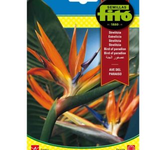 Bird of Paradise Flower Seed